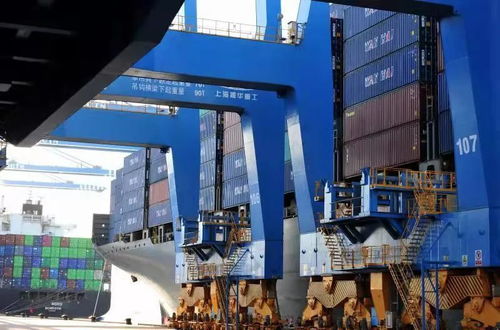 標桿城市的期中答卷 貨物進出口成績亮眼